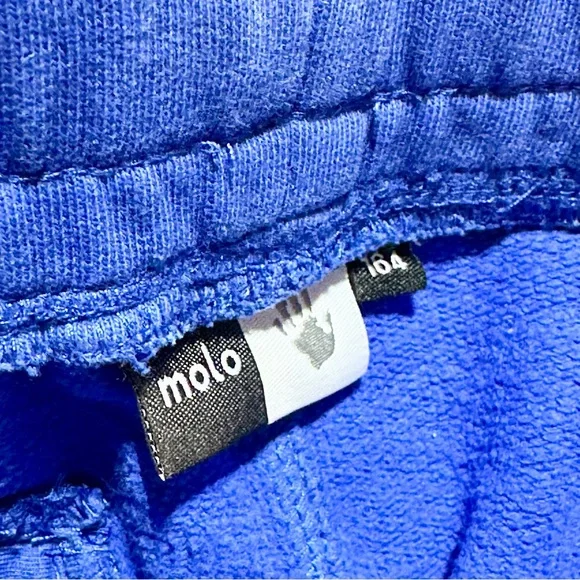 Molo Akon Vibrant Blue Shorts - Picture 3 of 5